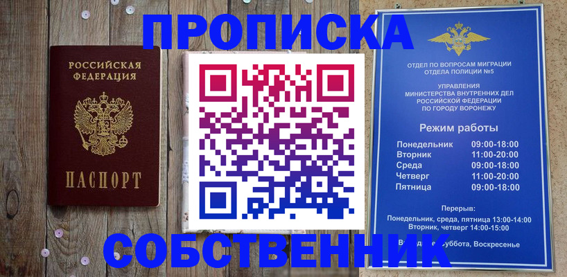 прописка 2025 в Заинске